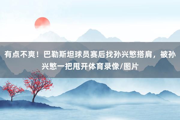 有点不爽！巴勒斯坦球员赛后找孙兴慜搭肩，被孙兴慜一把甩开体育录像/图片