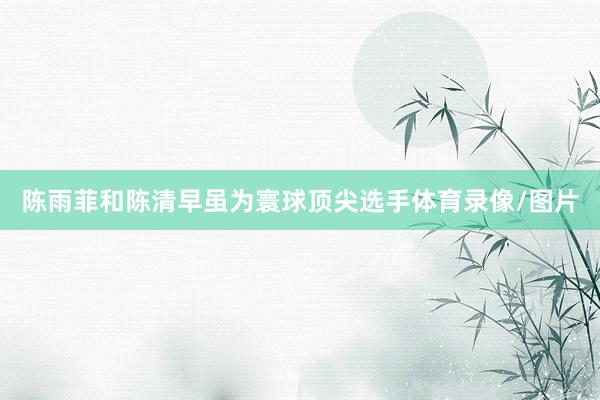 陈雨菲和陈清早虽为寰球顶尖选手体育录像/图片
