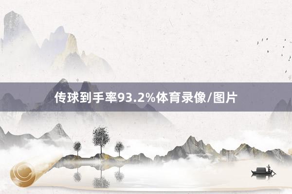 传球到手率93.2%体育录像/图片