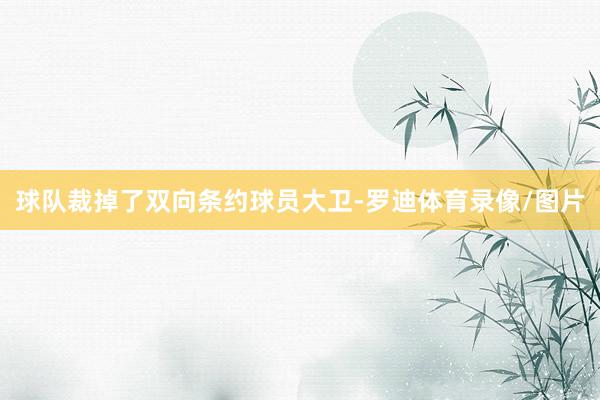 球队裁掉了双向条约球员大卫-罗迪体育录像/图片