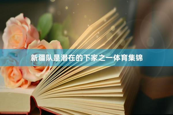 新疆队是潜在的下家之一体育集锦