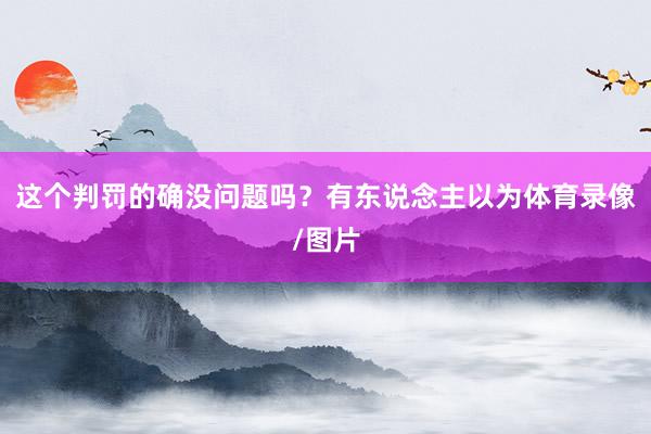 这个判罚的确没问题吗？有东说念主以为体育录像/图片