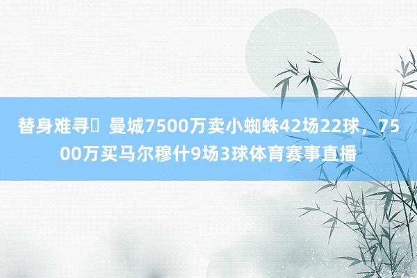 替身难寻❗曼城7500万卖小蜘蛛42场22球,7500万买马尔穆什9场3球体育赛事直播
