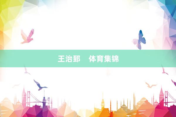 王治郅    体育集锦