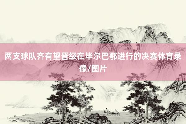 两支球队齐有望晋级在毕尔巴鄂进行的决赛体育录像/图片
