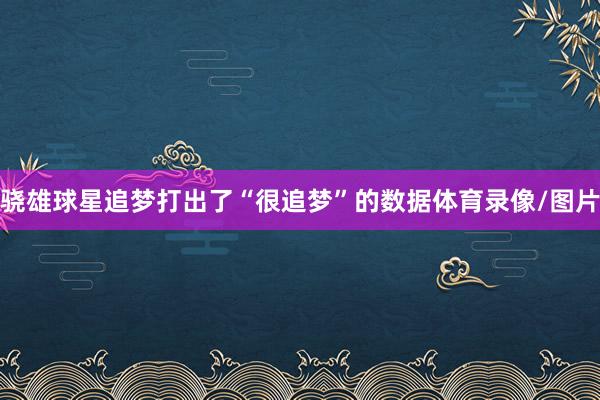 骁雄球星追梦打出了“很追梦”的数据体育录像/图片