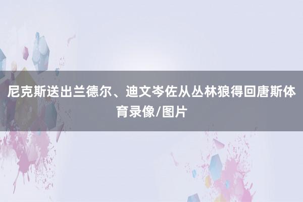 尼克斯送出兰德尔、迪文岑佐从丛林狼得回唐斯体育录像/图片