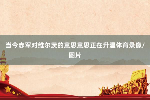 当今赤军对维尔茨的意思意思正在升温体育录像/图片