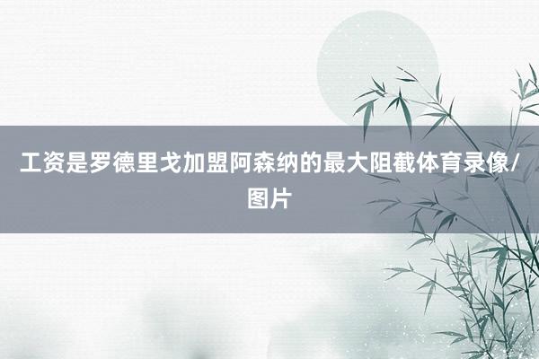 工资是罗德里戈加盟阿森纳的最大阻截体育录像/图片