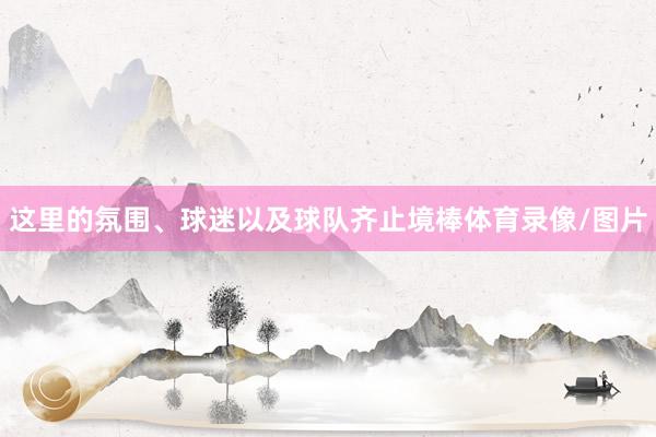 这里的氛围、球迷以及球队齐止境棒体育录像/图片