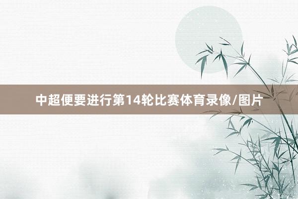 中超便要进行第14轮比赛体育录像/图片