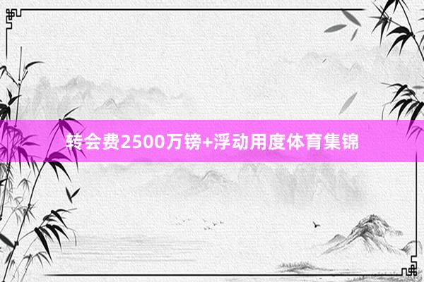 转会费2500万镑+浮动用度体育集锦