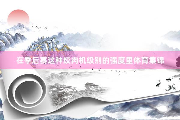 在季后赛这种绞肉机级别的强度里体育集锦