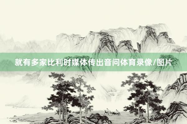 就有多家比利时媒体传出音问体育录像/图片