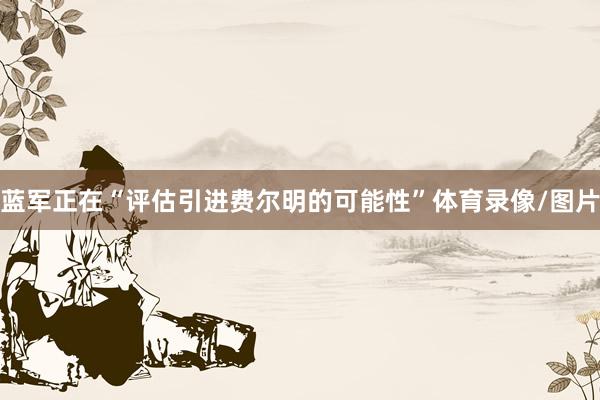 蓝军正在“评估引进费尔明的可能性”体育录像/图片