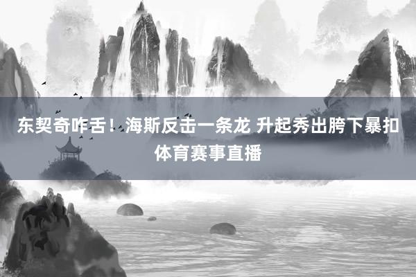 东契奇咋舌！海斯反击一条龙 升起秀出胯下暴扣体育赛事直播