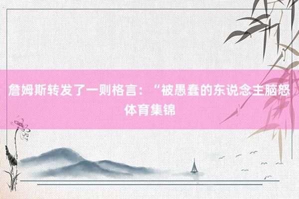 詹姆斯转发了一则格言：“被愚蠢的东说念主脑怒体育集锦