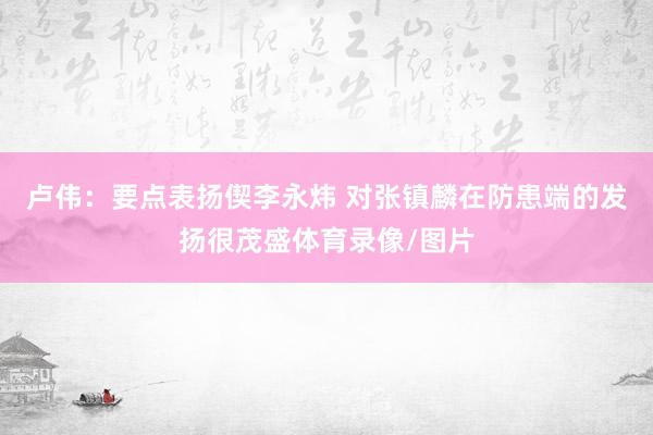 卢伟：要点表扬偰李永炜 对张镇麟在防患端的发扬很茂盛体育录像/图片