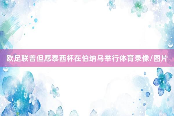 欧足联曾但愿泰西杯在伯纳乌举行体育录像/图片