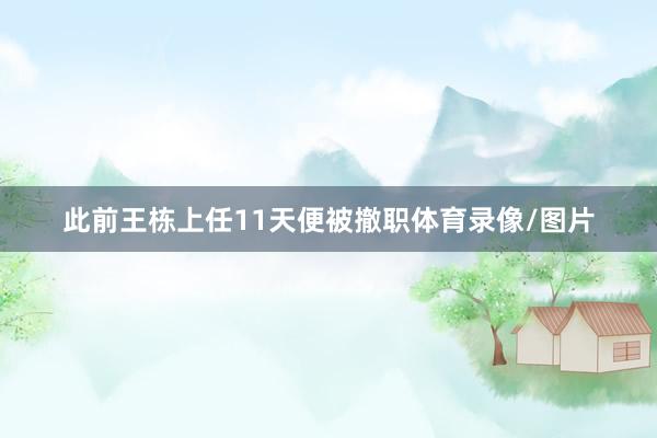 此前王栋上任11天便被撤职体育录像/图片