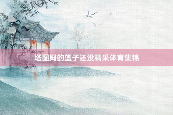 塔图姆的篮子还没精采体育集锦