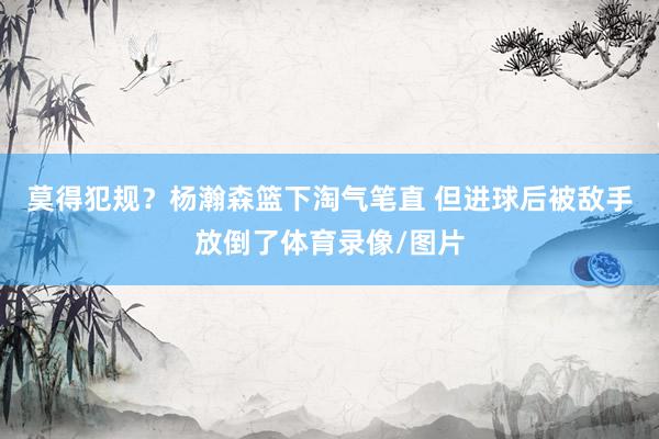 莫得犯规？杨瀚森篮下淘气笔直 但进球后被敌手放倒了体育录像/图片