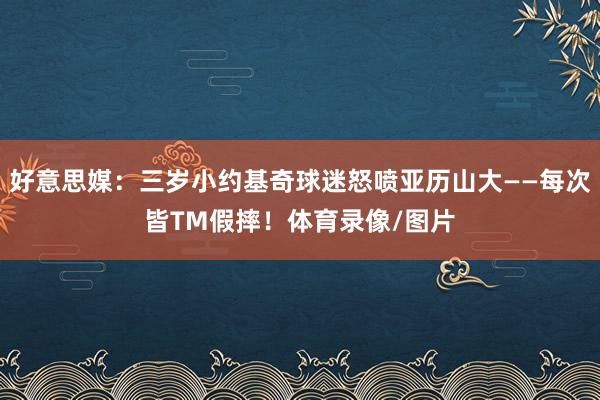 好意思媒：三岁小约基奇球迷怒喷亚历山大——每次皆TM假摔！体育录像/图片