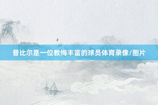 普比尔是一位教悔丰富的球员体育录像/图片