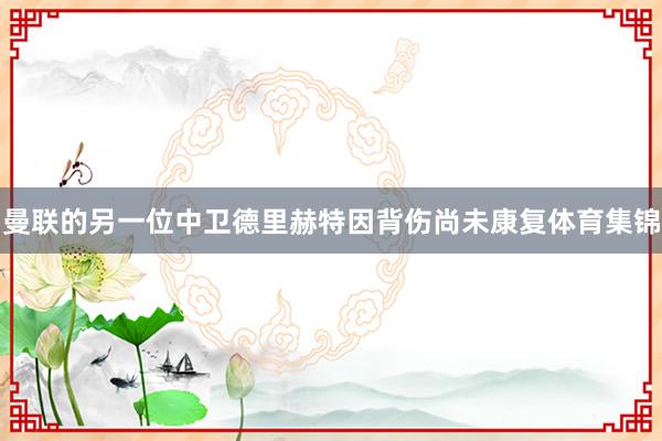 曼联的另一位中卫德里赫特因背伤尚未康复体育集锦