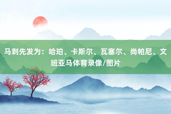 马刺先发为：哈珀、卡斯尔、瓦塞尔、尚帕尼、文班亚马体育录像/图片