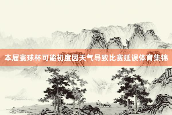 本届寰球杯可能初度因天气导致比赛延误体育集锦