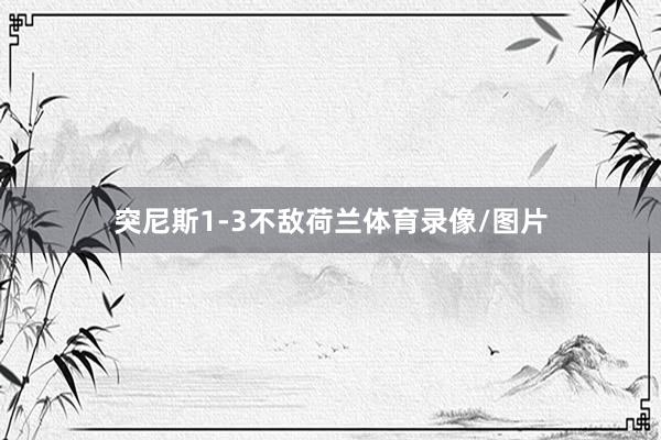 突尼斯1-3不敌荷兰体育录像/图片